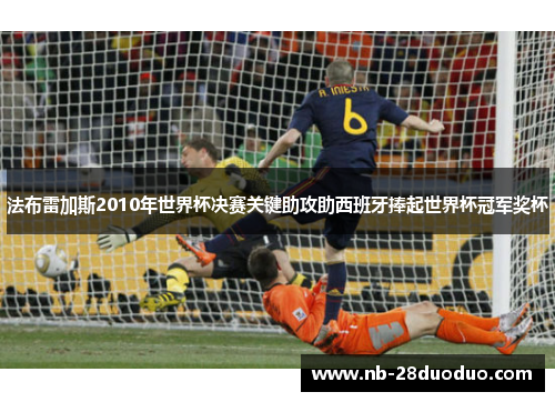 法布雷加斯2010年世界杯决赛关键助攻助西班牙捧起世界杯冠军奖杯