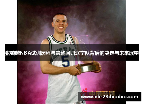 张镇麟NBA试训历程与最终回归辽宁队背后的决定与未来展望