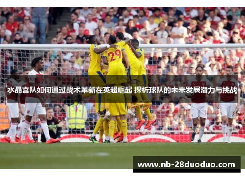 水晶宫队如何通过战术革新在英超崛起 探析球队的未来发展潜力与挑战