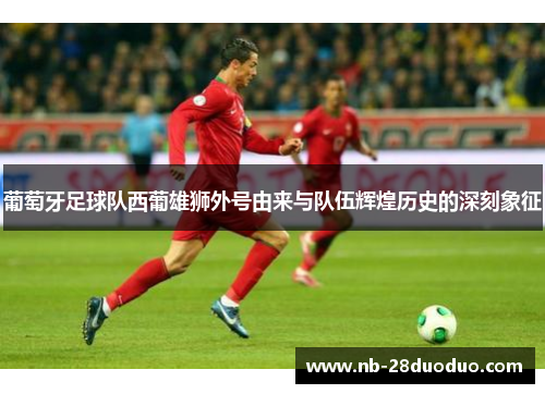 葡萄牙足球队西葡雄狮外号由来与队伍辉煌历史的深刻象征