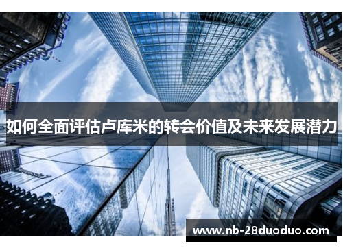 如何全面评估卢库米的转会价值及未来发展潜力
