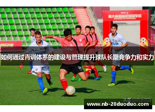如何通过青训体系的建设与管理提升球队长期竞争力和实力