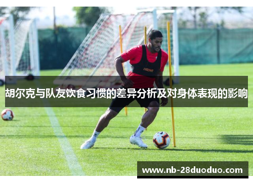 胡尔克与队友饮食习惯的差异分析及对身体表现的影响
