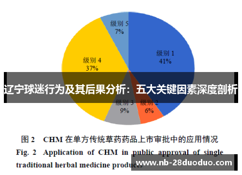 辽宁球迷行为及其后果分析：五大关键因素深度剖析
