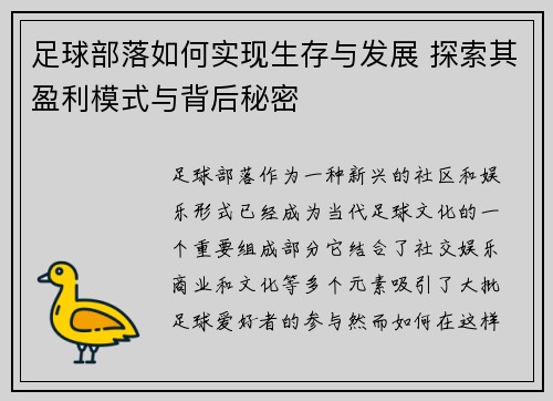 足球部落如何实现生存与发展 探索其盈利模式与背后秘密